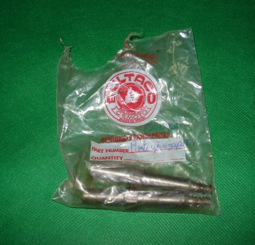 PIVOTES EJE ZAPATAS REF 1506006