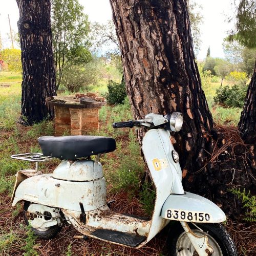 Montesa Micro Scooter 60 cc